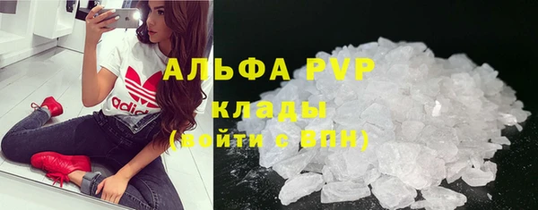 твердый Магас