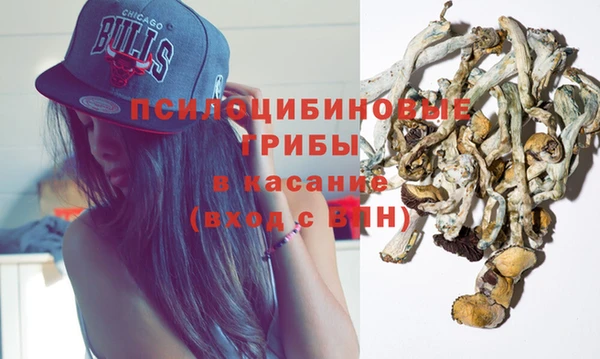 твердый Магас