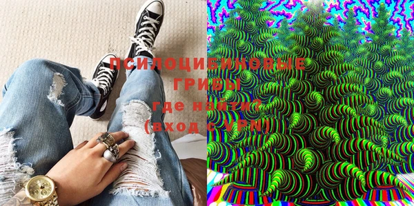 твердый Магас