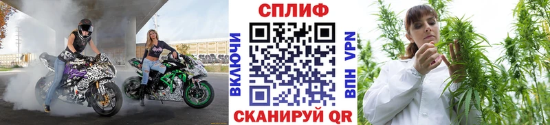 Шишки марихуана White Widow  Купить где  Алатырь 